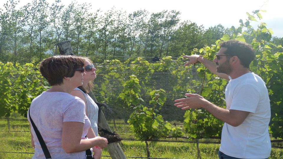 Calamuchita Valley Wine Route foto 5