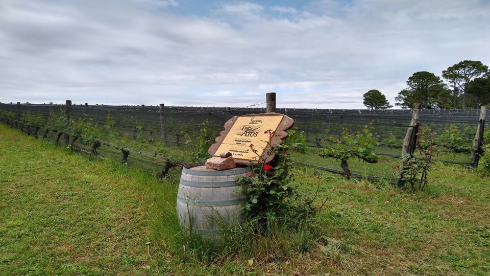 Calamuchita Valley Wine Route foto 2