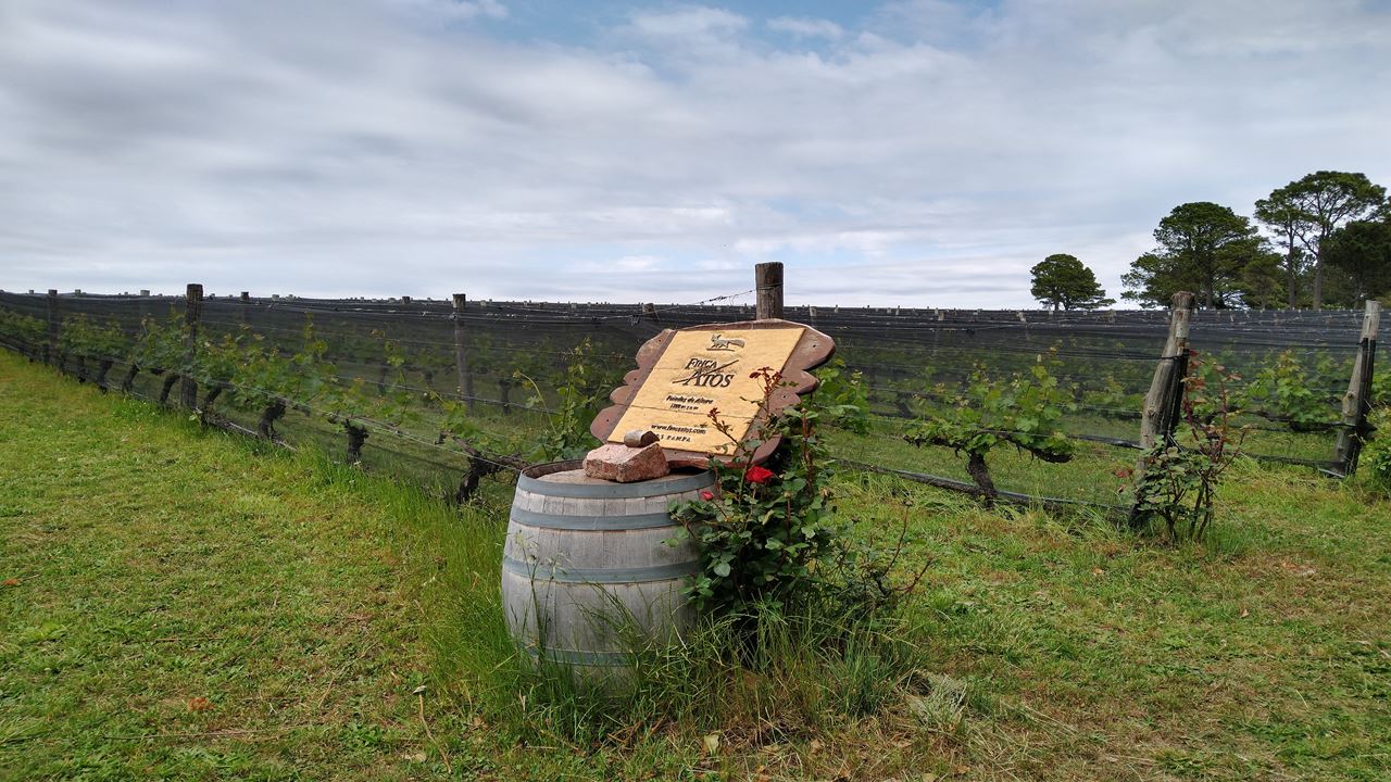 Wine Road In The Calamuchita Valley (1)