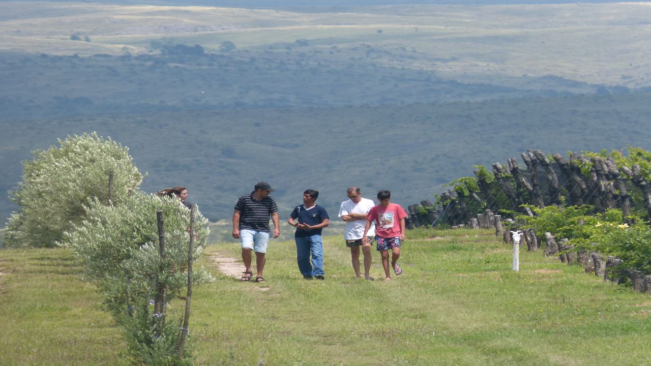 Wine Road In The Calamuchita Valley (5)