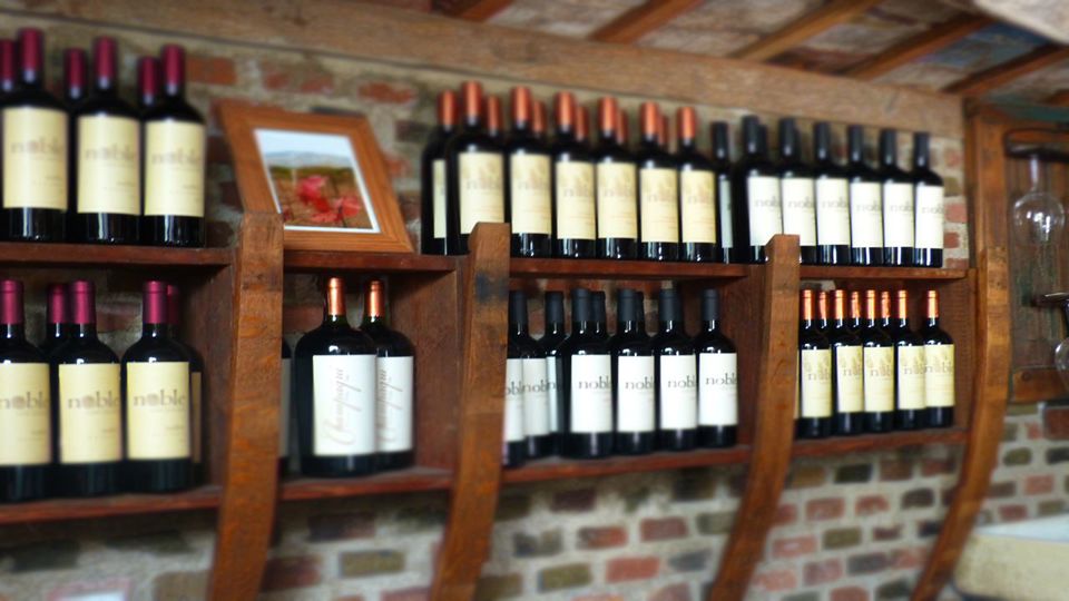 Traslasierra Wine Route with Tastings foto 4