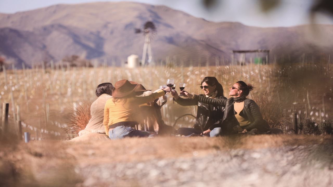 Degustação De Vinhos foto 5