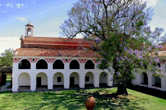 Degustação De Vinhos foto 3