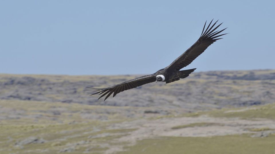 Traslasierra Valley Day Trip foto 2